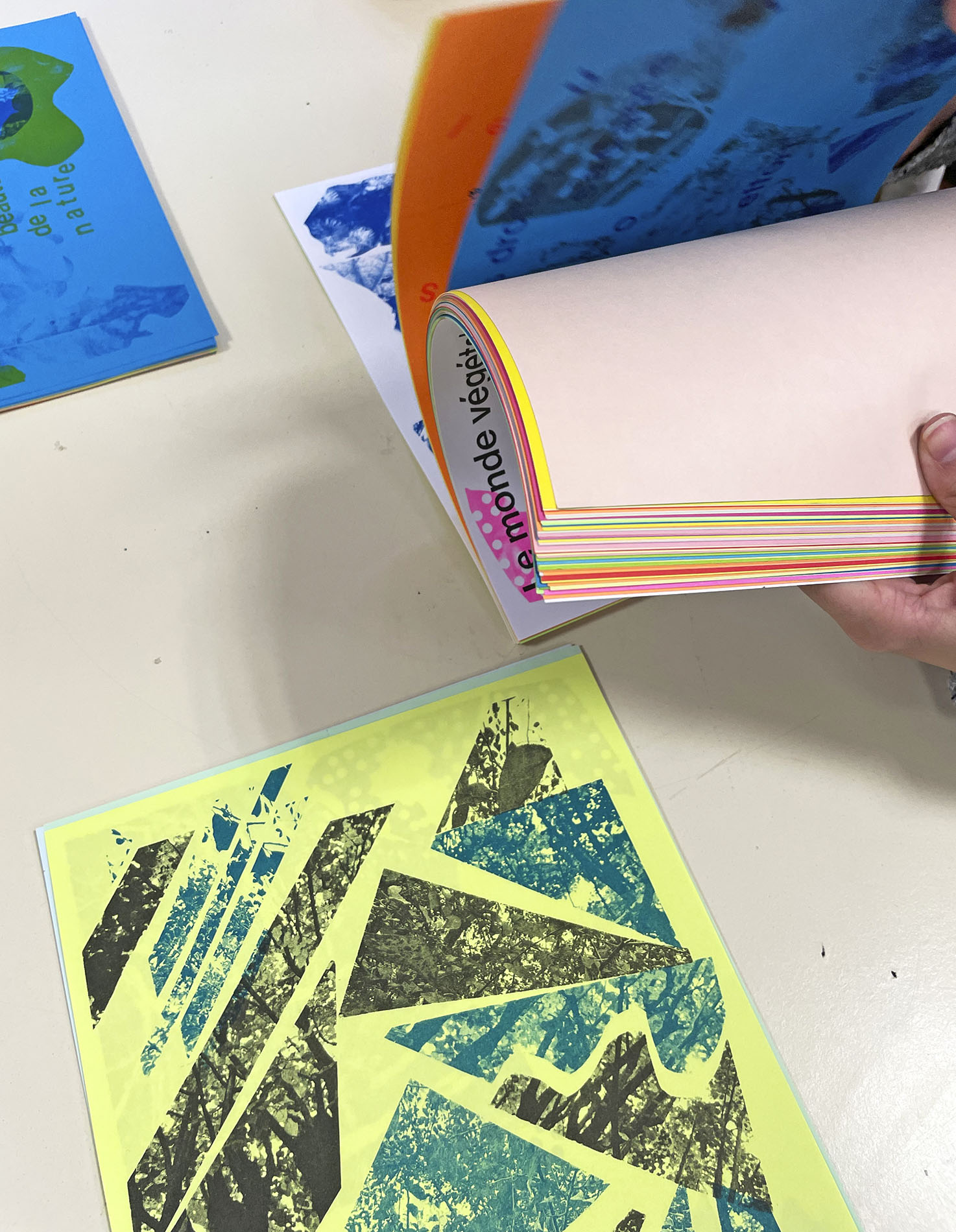 Atelier Cut/Paste/Print au Lycée Agrotechnologique d’Annonay